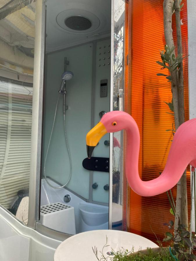 Little - Also Separate And Watersports Apartment