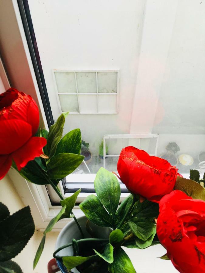 Little - Also Separate And Watersports Apartment